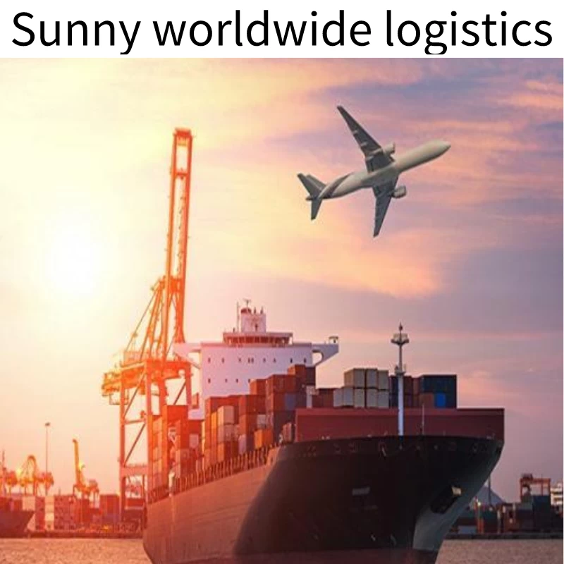 Chine Société de logistique mondiale ensoleillée, service de transport maritime supérieur de la Chine vers les États-Unis FCL/LCL fabricant