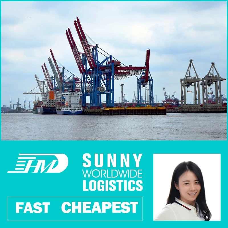 China Swwls Sea freight forwarder shipping from china to UK ocean shipping from china FCL container manufacturer