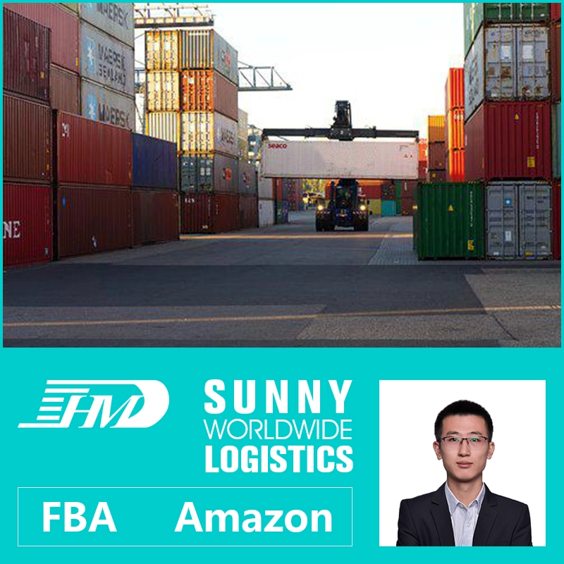 China Swwls sea shipping agent from China to Netherlands streetwear shipping Freight Forwarder