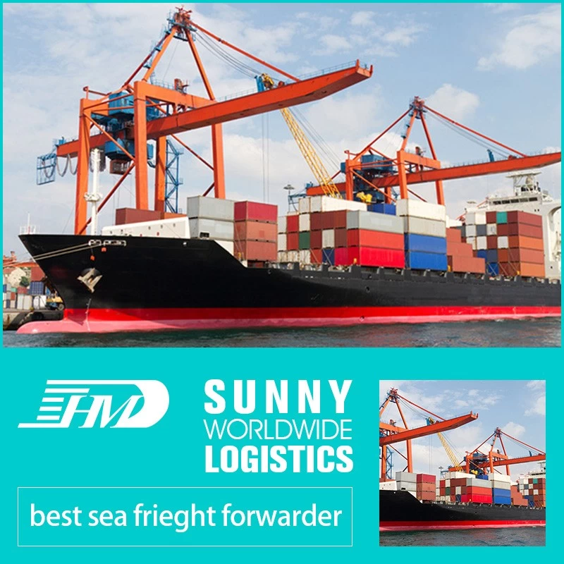China Swwls shipping agent Freight Forwarder Professional Good Services from China with high speed to Maldives manufacturer