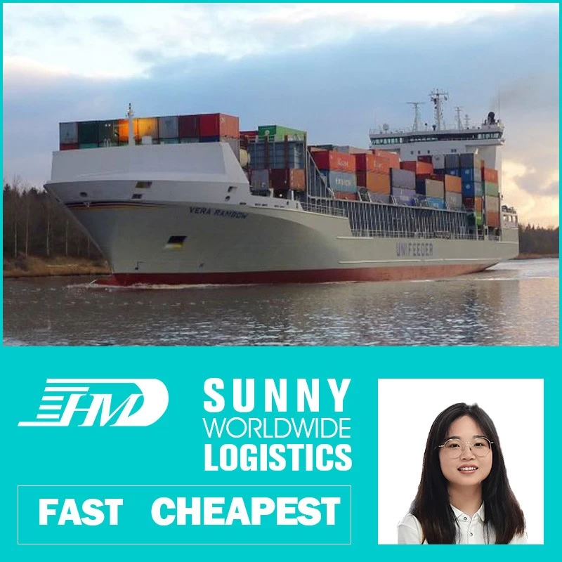 China Swwls Sea Freight From China To Poland LCL Logistics Services Door To Door company manufacturer