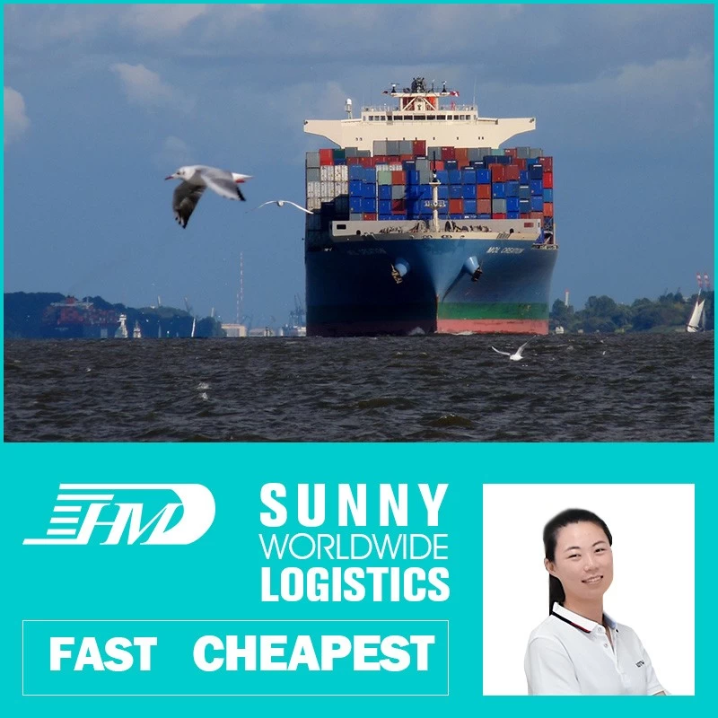 China Swwls Sea freight forwarder shipping from china to France ocean shipping from china FCL container manufacturer