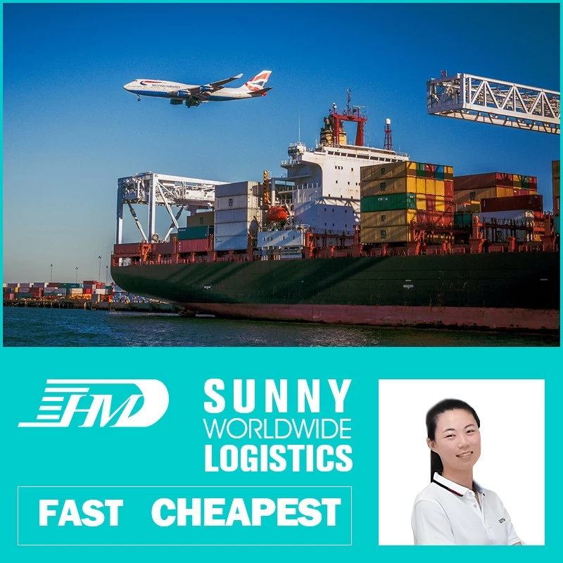 China Swwls Ocean freight forwarder 20GP 40GP door to door China to Brazil DDU container shipping logistics services manufacturer