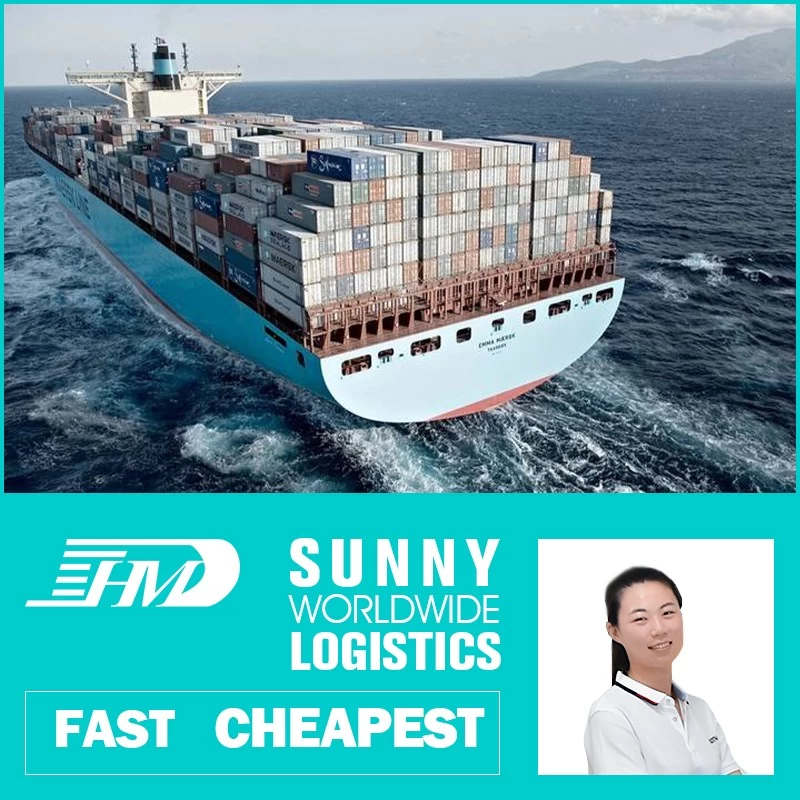China swwls air forwarding port air sea freight sea freight forwarder shipping ddu ddp service manufacturer