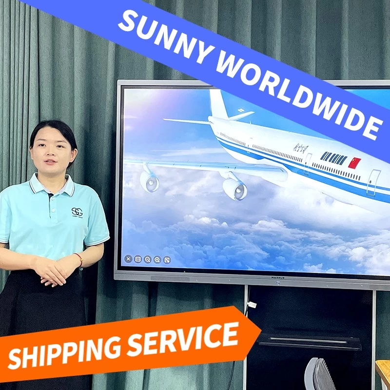 China Professional DDU DDP shipping agent to from China by sea air express to worldwide manufacturer
