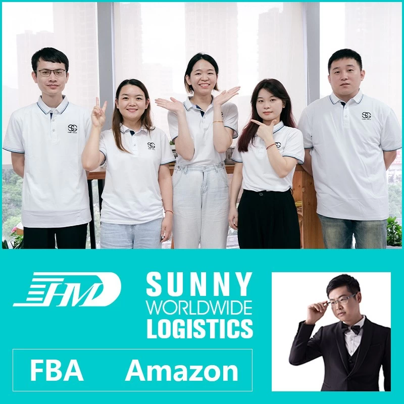 porcelana Promotor de carga aérea de Swwls China a los E.E.U.U. Reino Unido Agente de transporte alemán Suráfrica Francia Italia Reenvío de carga