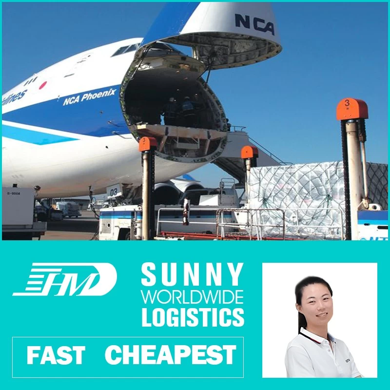 China Swwls Air Freight Forwarder From China Shanghai Shenzhen Guangzhou To Netherlands manufacturer