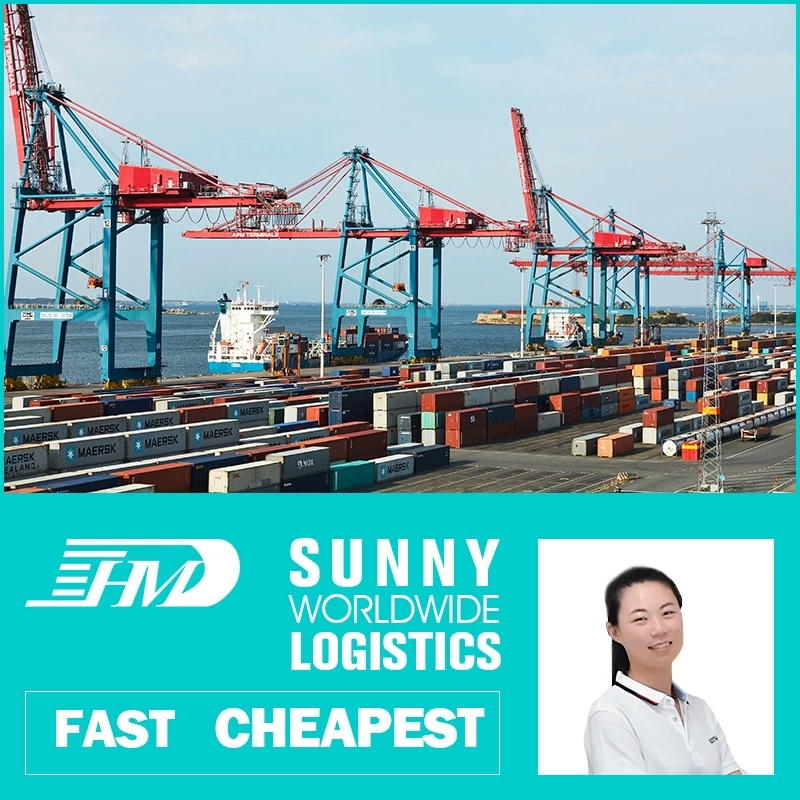 Chine La Chine vers les Philippines, le fret maritime, le transitaire maritime expédiant le service DDU DDP, de la Chine aux États-Unis par voie maritime et aérienne, porte à porte Transfert de fret