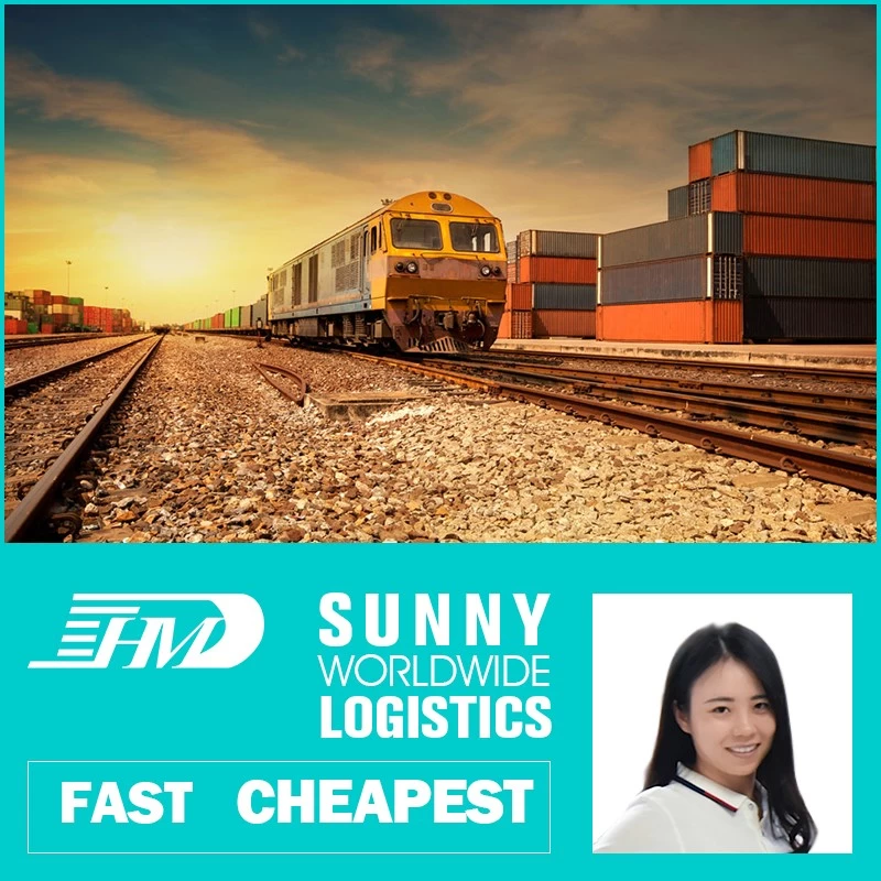 Chine Service de fret d'expédition de train de transitaire ferroviaire Chine vers l'Europe DDP DDU fabricant