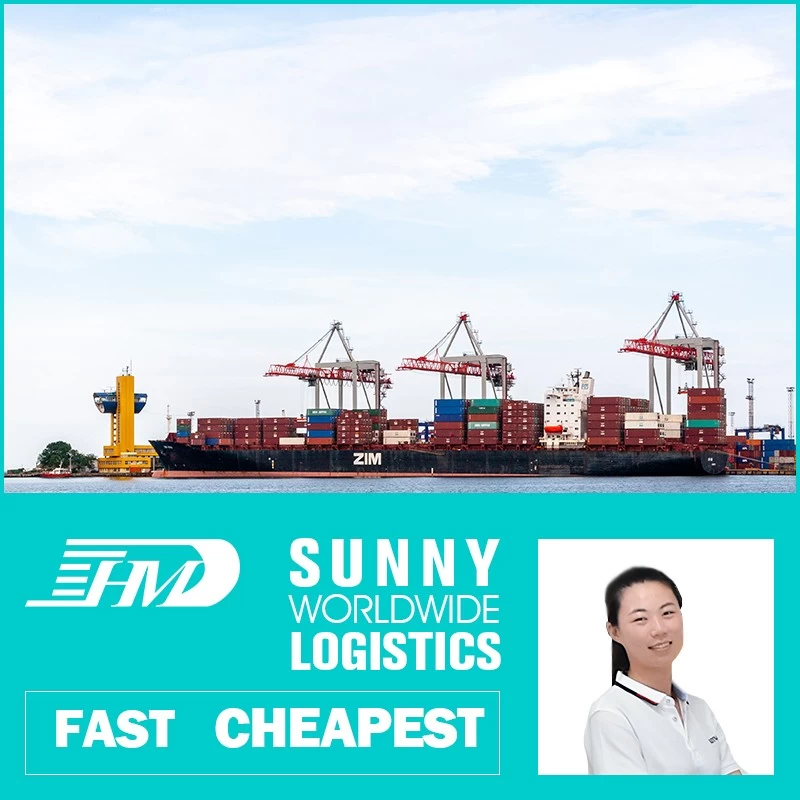 China Swwls Sea shipping from guangzhou china to Singapore logistics services door to door Promotion agent sea freight forwarder manufacturer