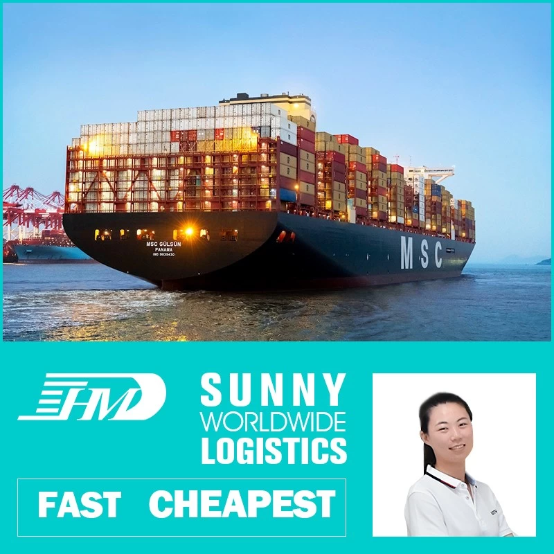 China sea air freight forwarder ddu ddp shipping service door to door container 40 feet 20 feet DDP DDU customs to USA any address manufacturer