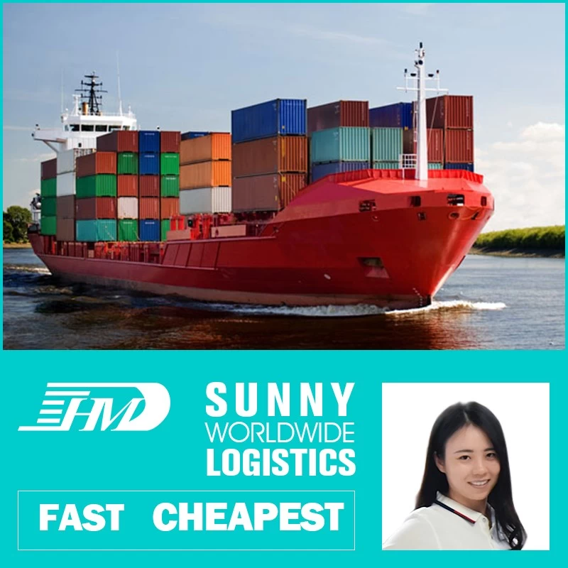 China Swwls Local freight forwarder from shenzhen to Australia sea freight ocean cargo freight rates manufacturer