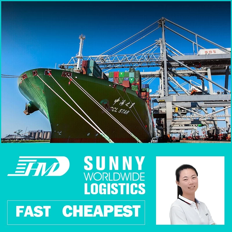 China sea air freight forwarder ddu ddp shipping service door to door container 40 feet 20 feet DDP DDU customs to USA any address manufacturer