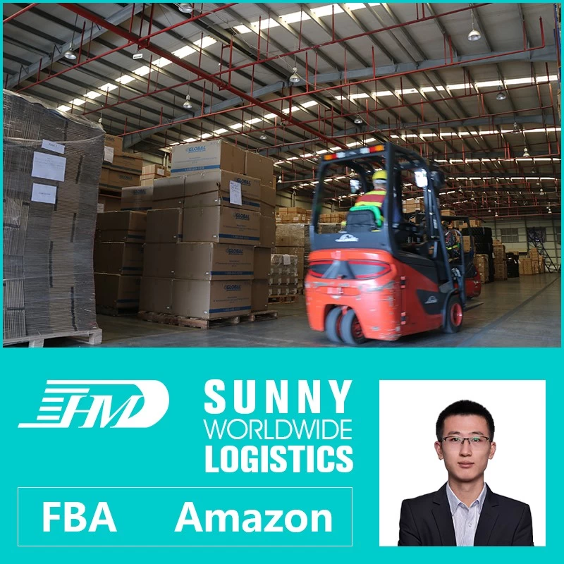 China international sea freight companies, door to door sea freight, ship by sea from usa manufacturer
