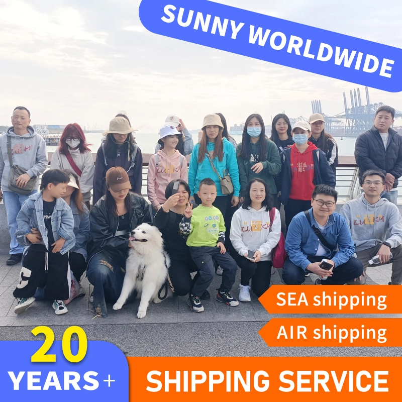 China Your Trusted Partner for Air Freight Documentation and Compliance Freight Forwarder