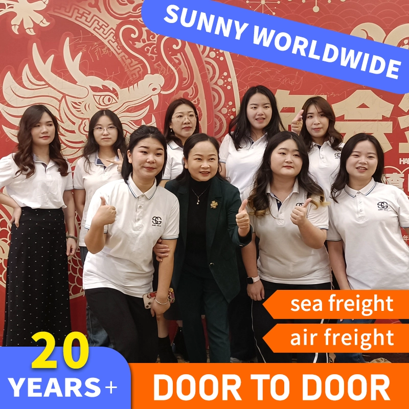 China China to Canada DDP Logistics Product Outline Freight Forwarder