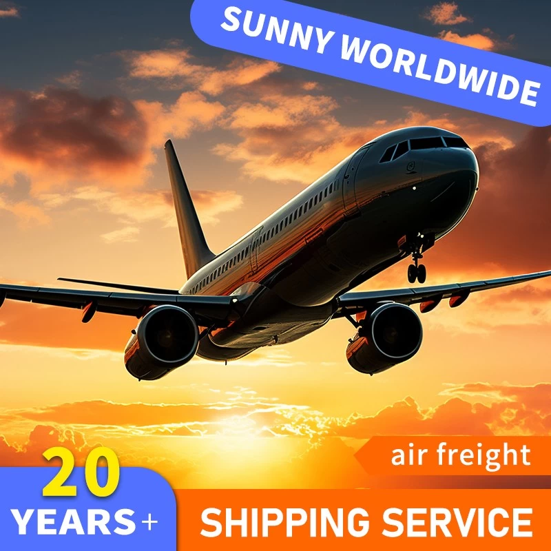 Cina SWWLS Trasporto aereo veloce Spedizione DDP da Guangzhou, Shenzhen, Cina a Giakarta, Indonesia produttore