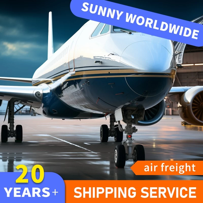 China SWWLS Best Air Freight and Forwarding Air Shipping to France from China manufacturer