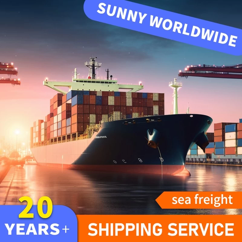 China SWWLS DDP Sea Freight Ocean 20ft Containers Shipping To Somalia for Excavator Shipping manufacturer