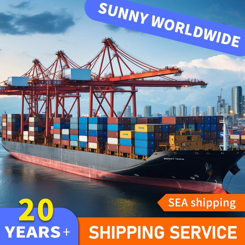 porcelana Envío de contenedores de 20 pies de SWWLS DDP Sea Freight Ocean a Somalia para envío de excavadoras fabricante
