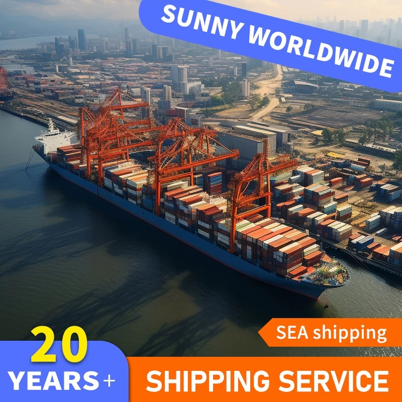 China SWWLS Sea Freight 20ft 40ft Container Door to Port Shipping from China to Trinidad manufacturer