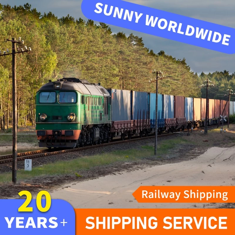 porcelana SWWLS El mejor agente de envío internacional con DDP DDU DAP Dropshipping Transporte ferroviario a Dubai Envío barato fabricante