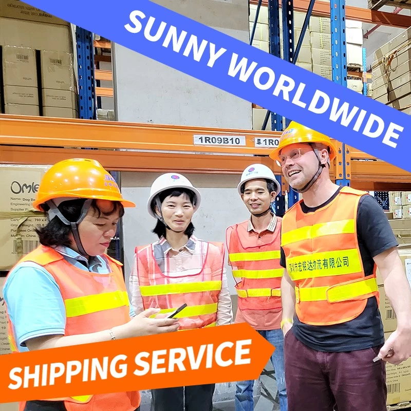 China SWWLS Freight Forwarder Company Luftfracht von China nach Italien Hersteller