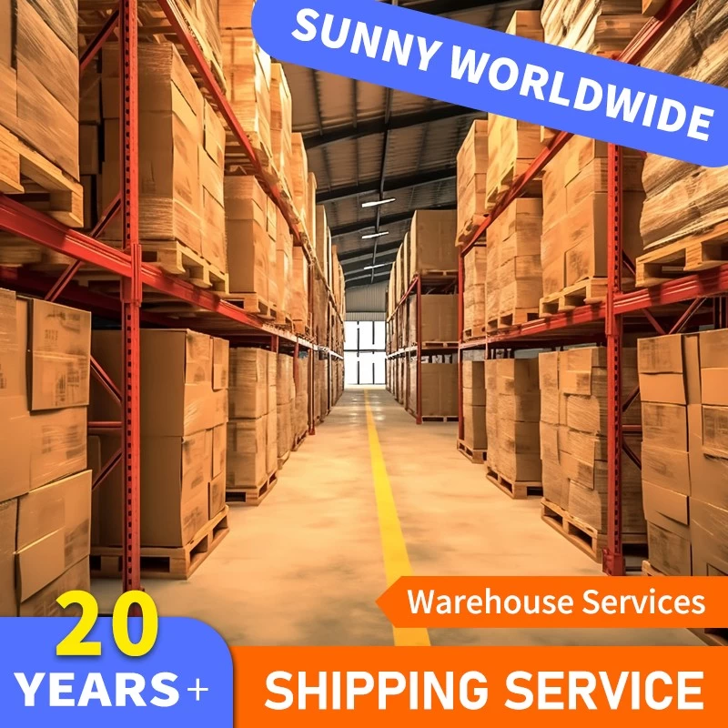 China SWWLS Schneller oder günstiger Luftfrachtspediteur für Canada Express SCL STI IQQ ANF VAP CCP ARI PMC LSC PUQ ZOS BBA ZCO GXQ Hersteller
