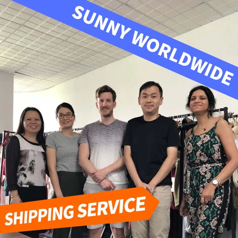 China SWWLS Schneller oder günstiger Luftfrachtspediteur für Canada Express SCL STI IQQ ANF VAP CCP ARI PMC LSC PUQ ZOS BBA ZCO GXQ Hersteller