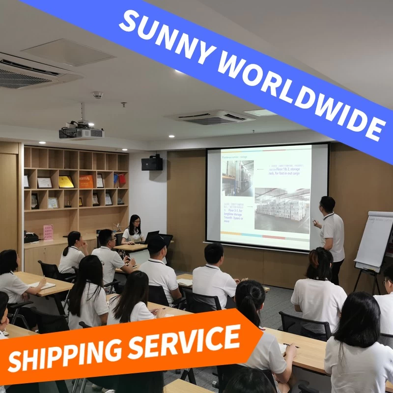 China SWWLS Freight Forwarder Company Luftfracht von China nach Italien Hersteller