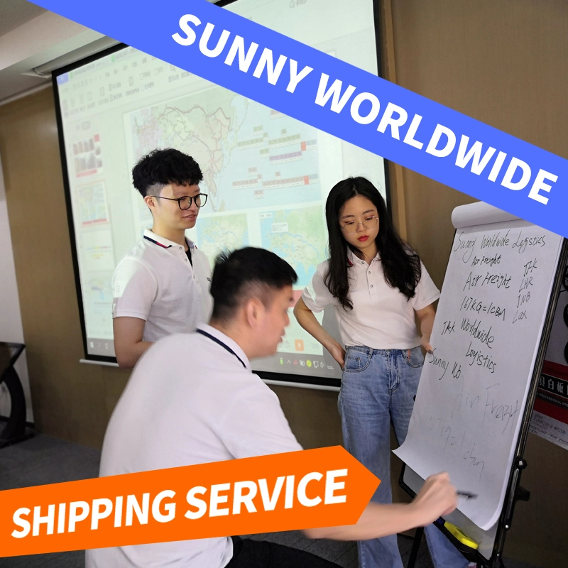 porcelana SUNNY WORLDWIDE LOGISTICS: Solución exclusiva de servicio puerta a puerta DDP de China a Malasia Reenvío de carga