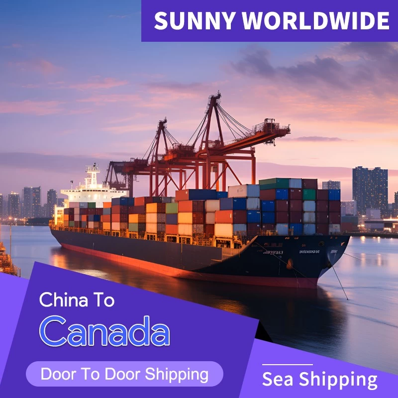 Chine swwls FCL LCL rapide fba Canada transitaire transport maritime fabricant