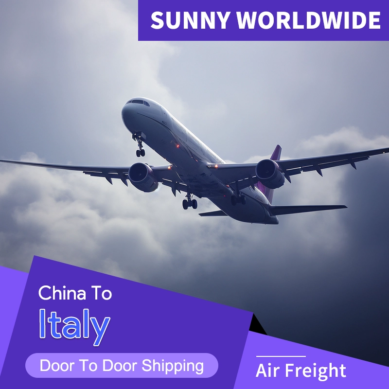 China SUNNY WORLDWIDE LOGISTICS - Italy DDP Logistics Product Outline Freight Forwarder