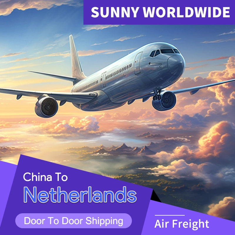 Cina Spiegazione dettagliata del servizio logistico DDP – Focus sui Paesi Bassi Spedizionatore di merci