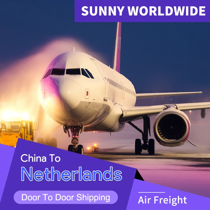Cina Sunny Worldwide Logistics - DDP per i Paesi Bassi Profilo del prodotto logistico speciale Spedizionatore di merci