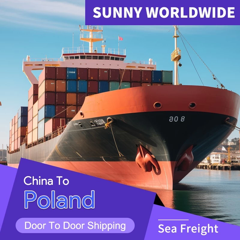 China SWWLS International Shipping Cheapest Ocean Shipping International Freight Forwarder Sea Freight To Poland manufacturer