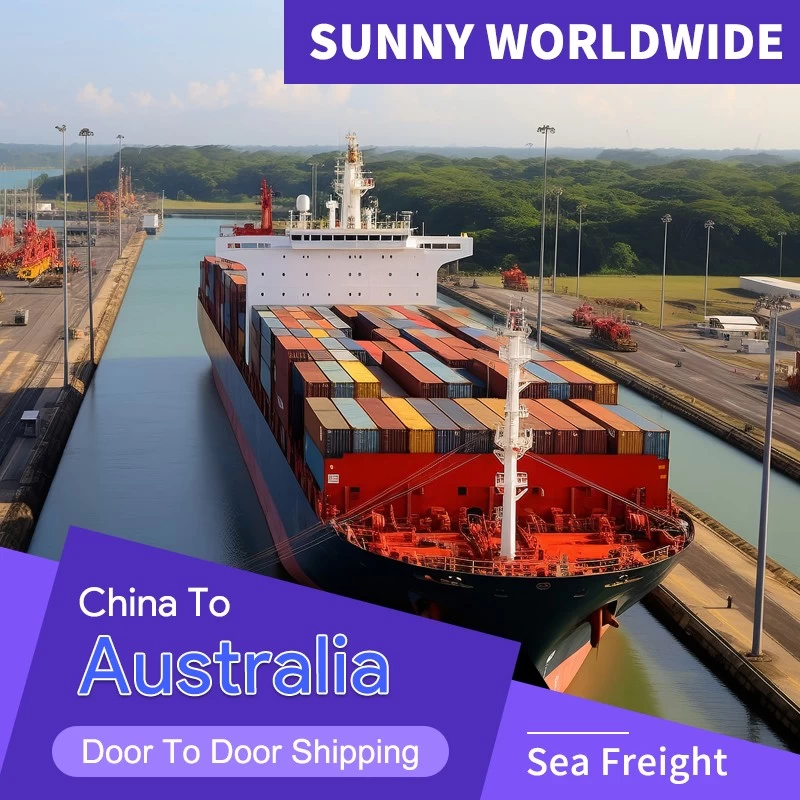 China SWWLS International Shipping Günstiger Preis und effiziente Seetransportdienste von China nach Australien Hersteller
