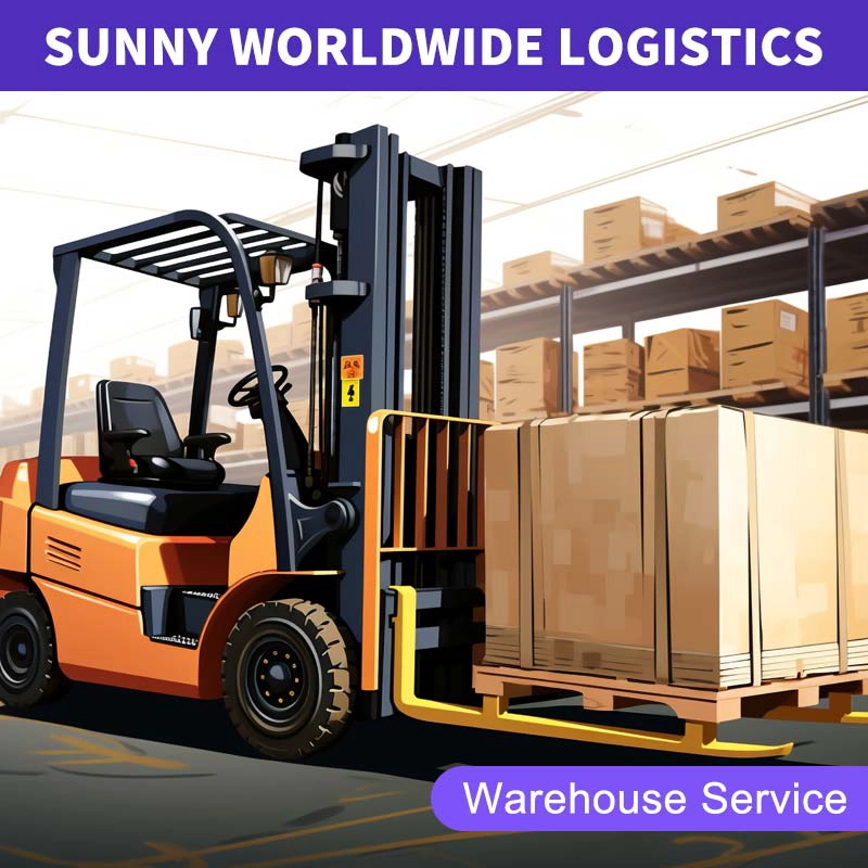 Cina Sunny Worldwide Logistics - DDP per i Paesi Bassi Profilo del prodotto logistico speciale Spedizionatore di merci