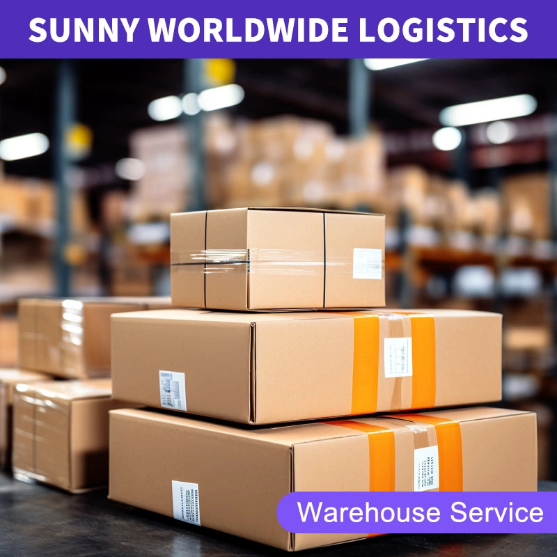 China Malaysia Air Freight „Next-Day Delivery“ Express – Wettlauf gegen die Zeit, Geschäftschancen nutzen Frachtwächterin