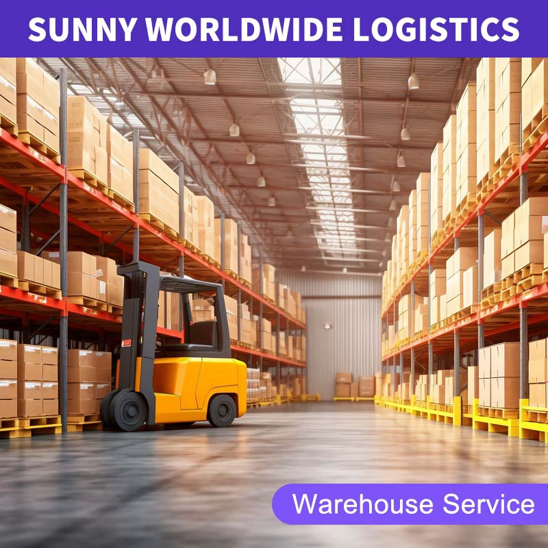 China Malaysia Air Freight „Next-Day Delivery“ Express – Wettlauf gegen die Zeit, Geschäftschancen nutzen Frachtwächterin