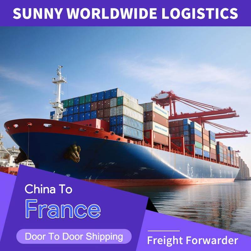 中国 28 年卓越经验：法国 CIF 货运值得信赖的合作伙伴 货运代理