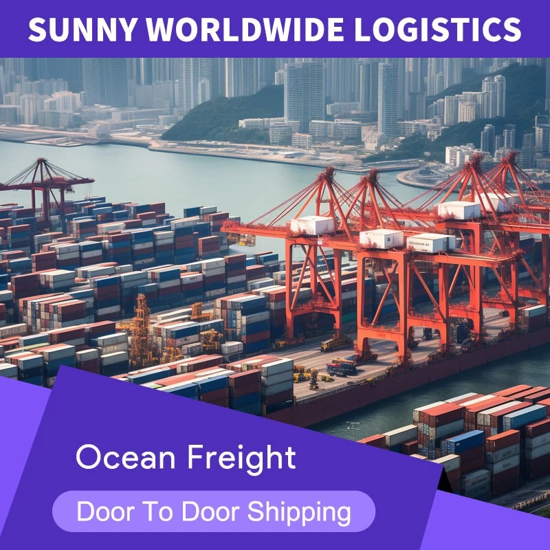 porcelana SERVICIOS DE LOGISTICA DE ENVÍO SEA A EE. UU. Desde Shenzhen China FCL Envío Reenvío de carga