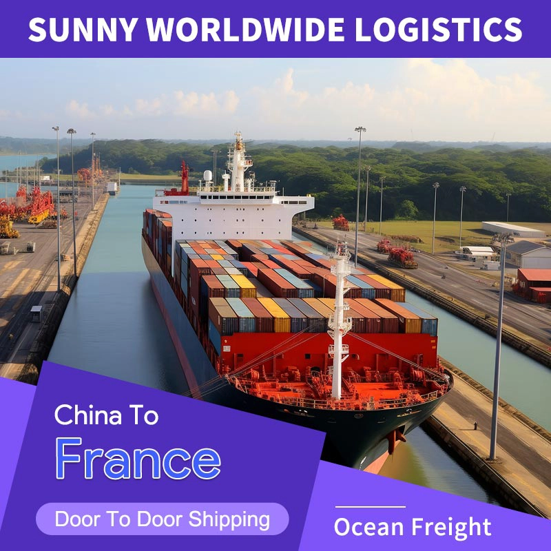 Китай Служба выделенной линии DDP из Китая во Францию Форгар