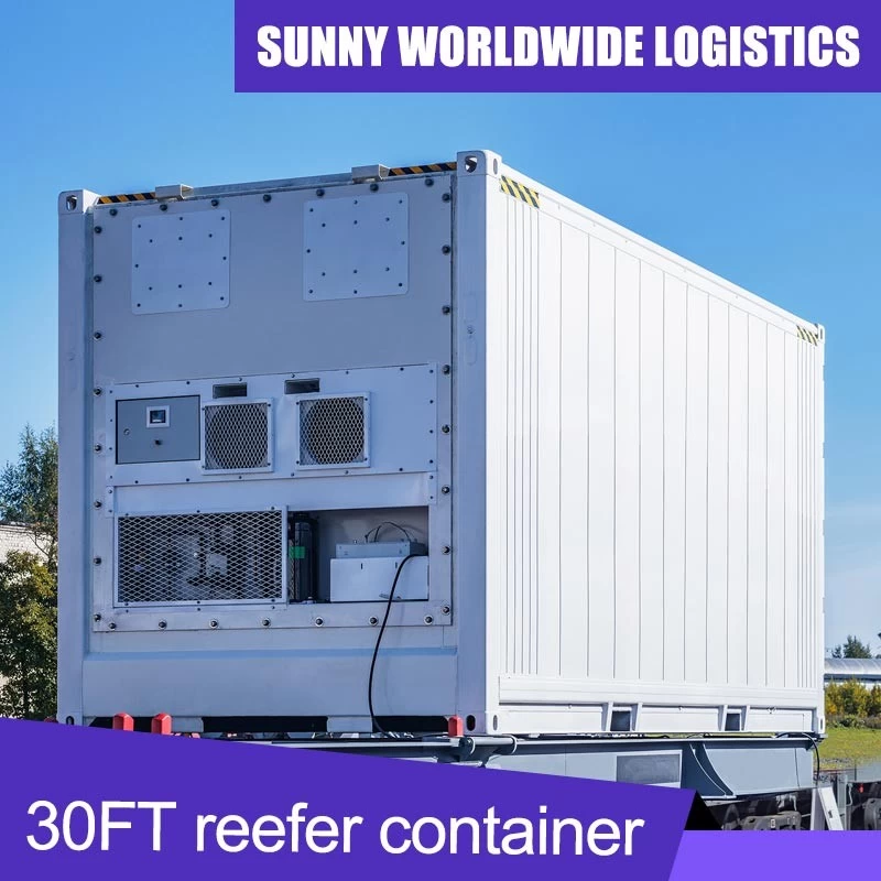 China Shipping from China to Australia Freight Forwarder
