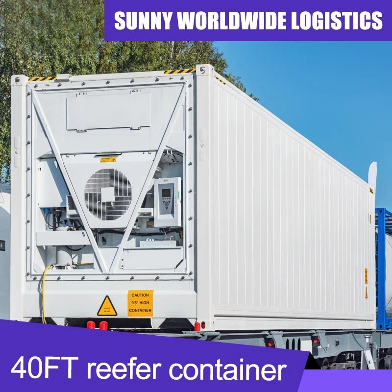 China Shipping from China to Spain Freight Forwarder