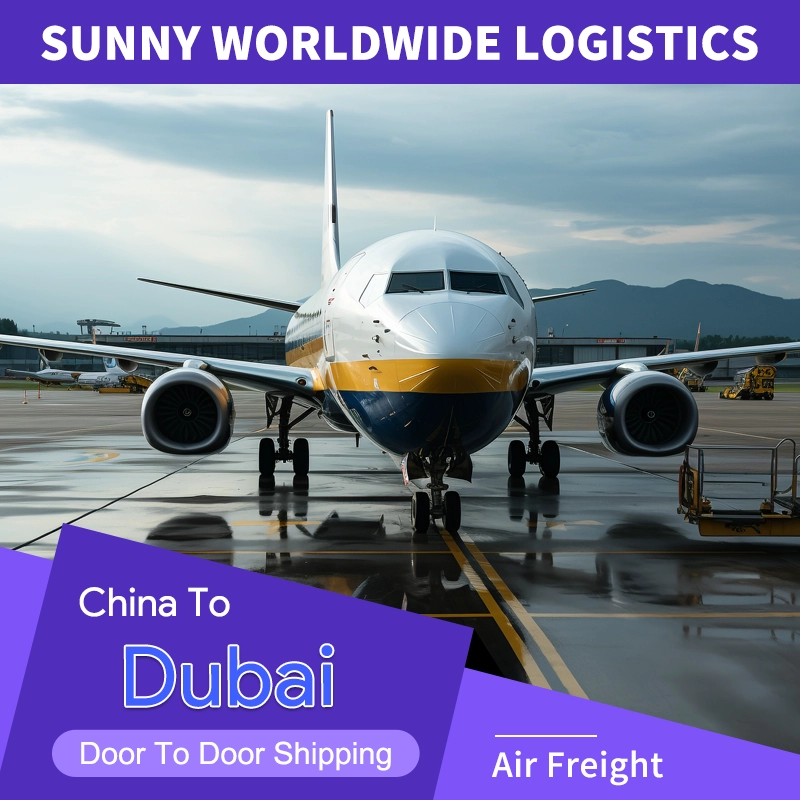 China DDP-Service von China nach Dubai – Sunny Worldwide Logistics: Zollfrei bis zur Tür, begleiten Sie Ihren Blue Ocean im Nahen Osten mit „professioneller“ Stärke! Frachtwächterin