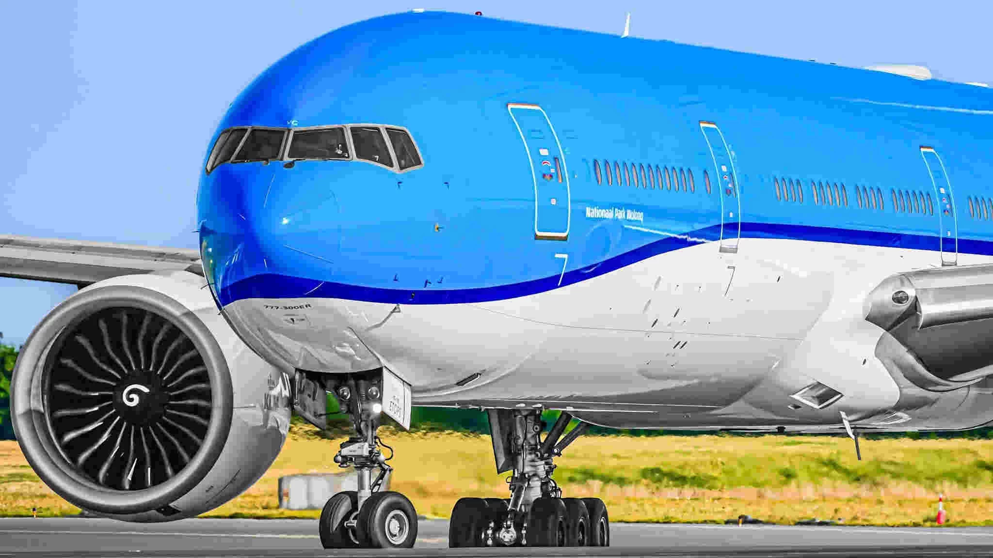 Chine Dédouanement FCL des Émirats arabes unis sans effort : expédition DDP vers Dubaï et Sharjah sans sponsor local Transfert de fret