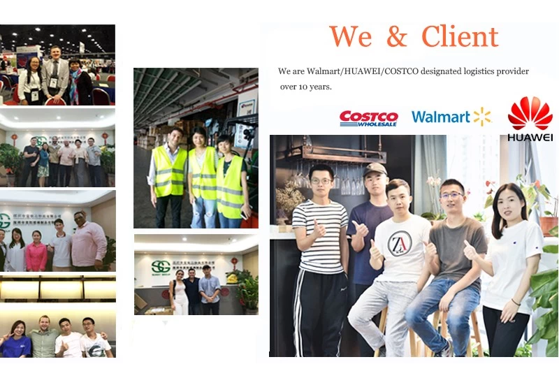 porcelana Swwls agente de tarifas más barato desde Shenzhen China a Alemania fabricante