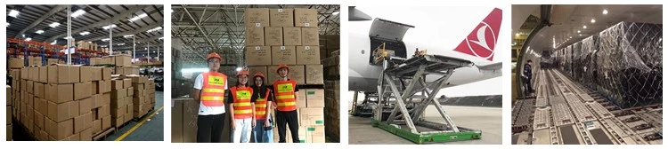international freight shipping,Logistics Companies,air-shipping,China To Germany,airport to airport shipping