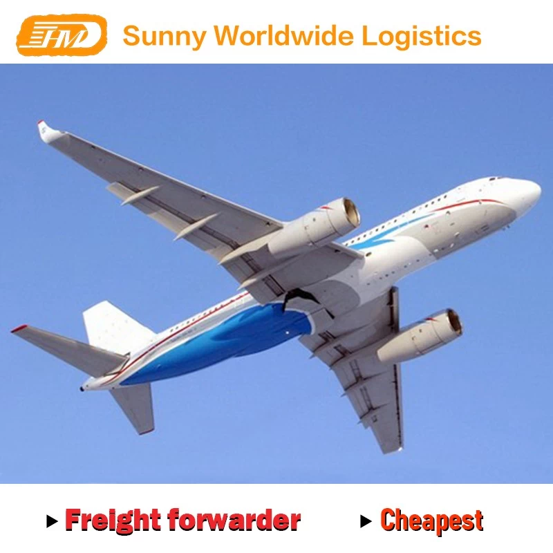 China Swwls Professional Agent Forwarder für den Seefrachtversand in den USA Hersteller